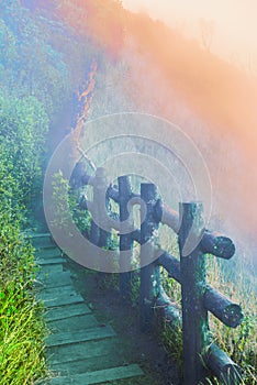 Mountain walkway covered by sea of Ã¢â¬â¹Ã¢â¬â¹mist at Kew Mae Pan Nature Trail within Doi Inthanon National Park photo